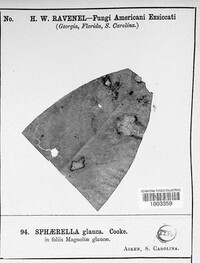 Image Associated With the Occurence